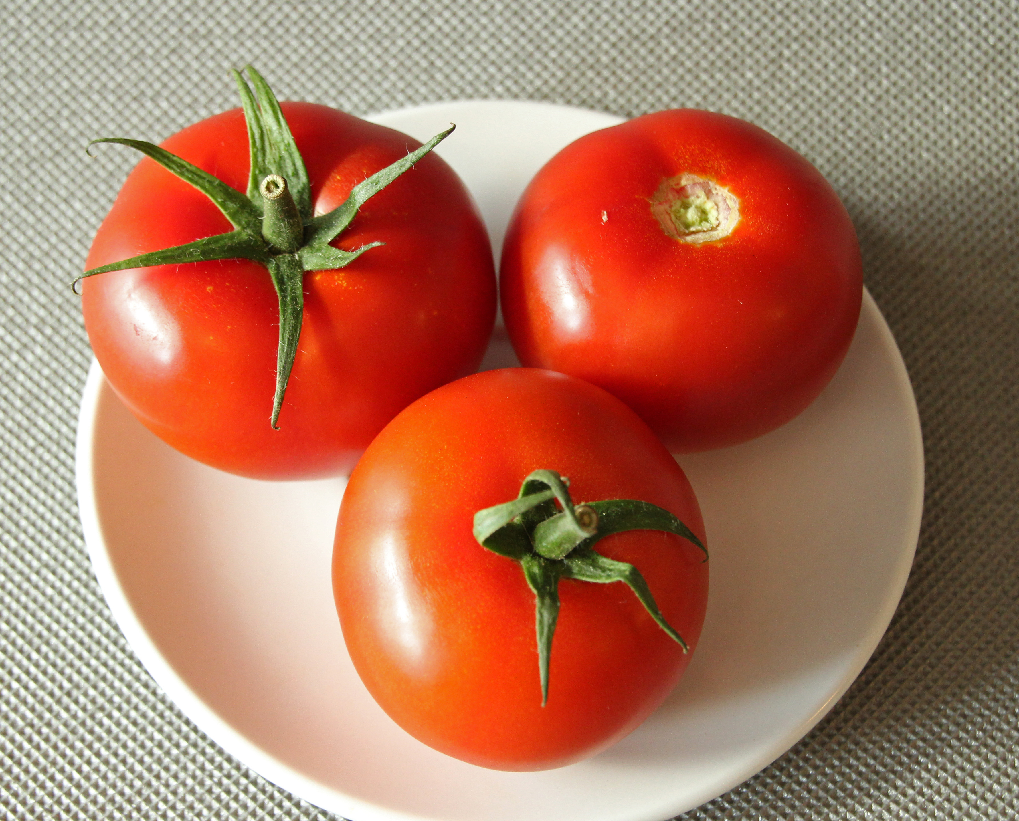 Tomatensorte Gourmato 04 (fcm)