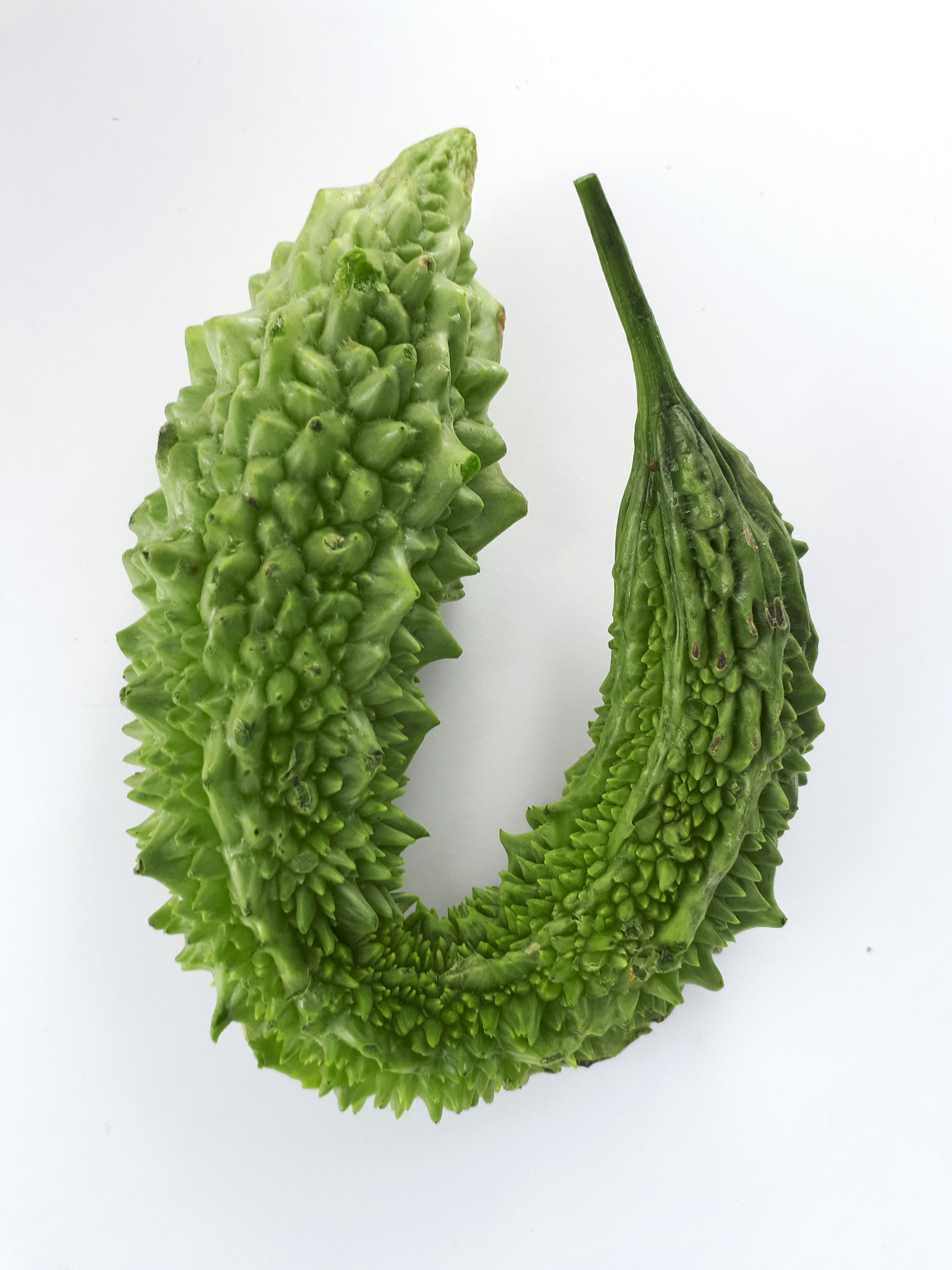 U-shaped karela 2017 A