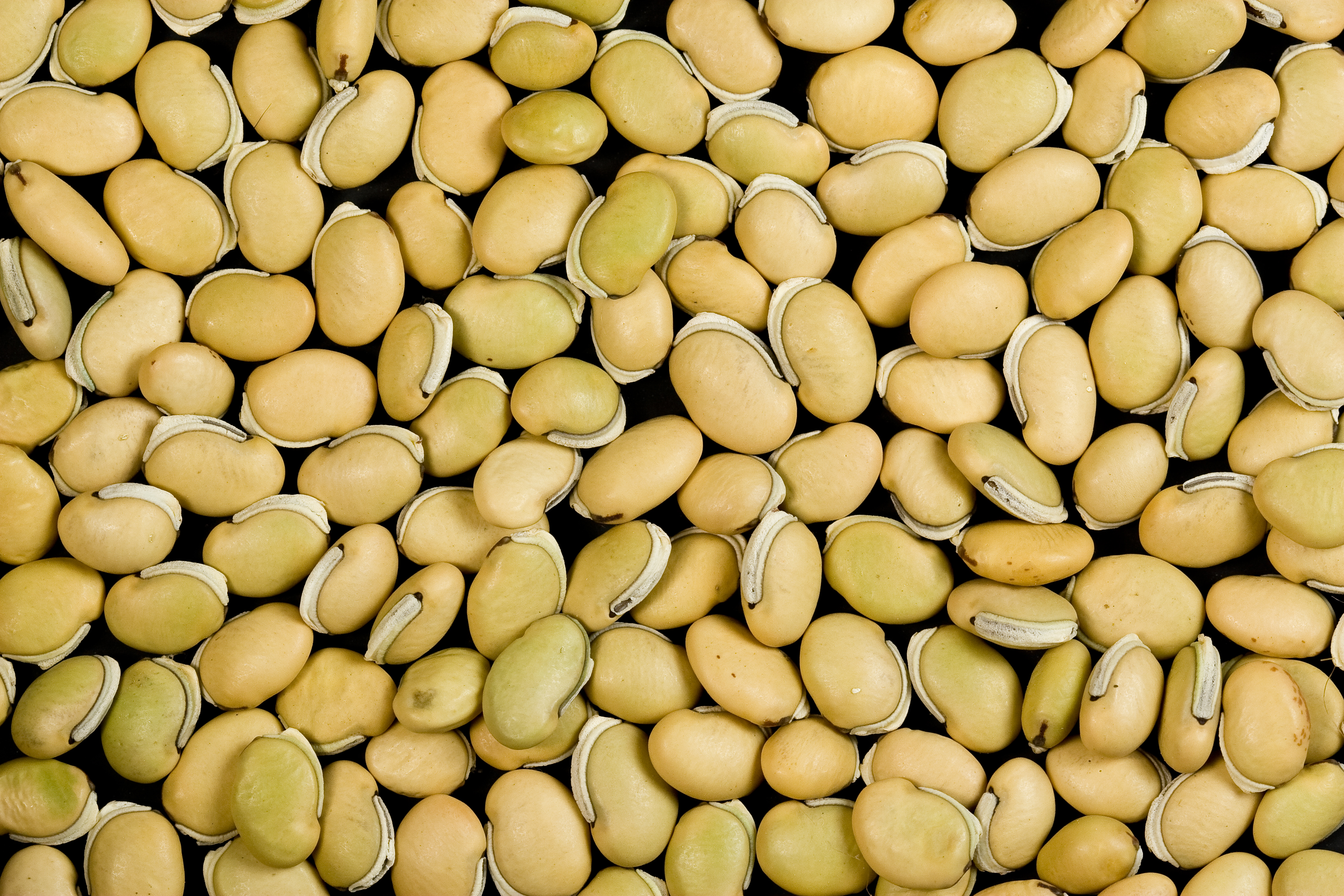Val Beans