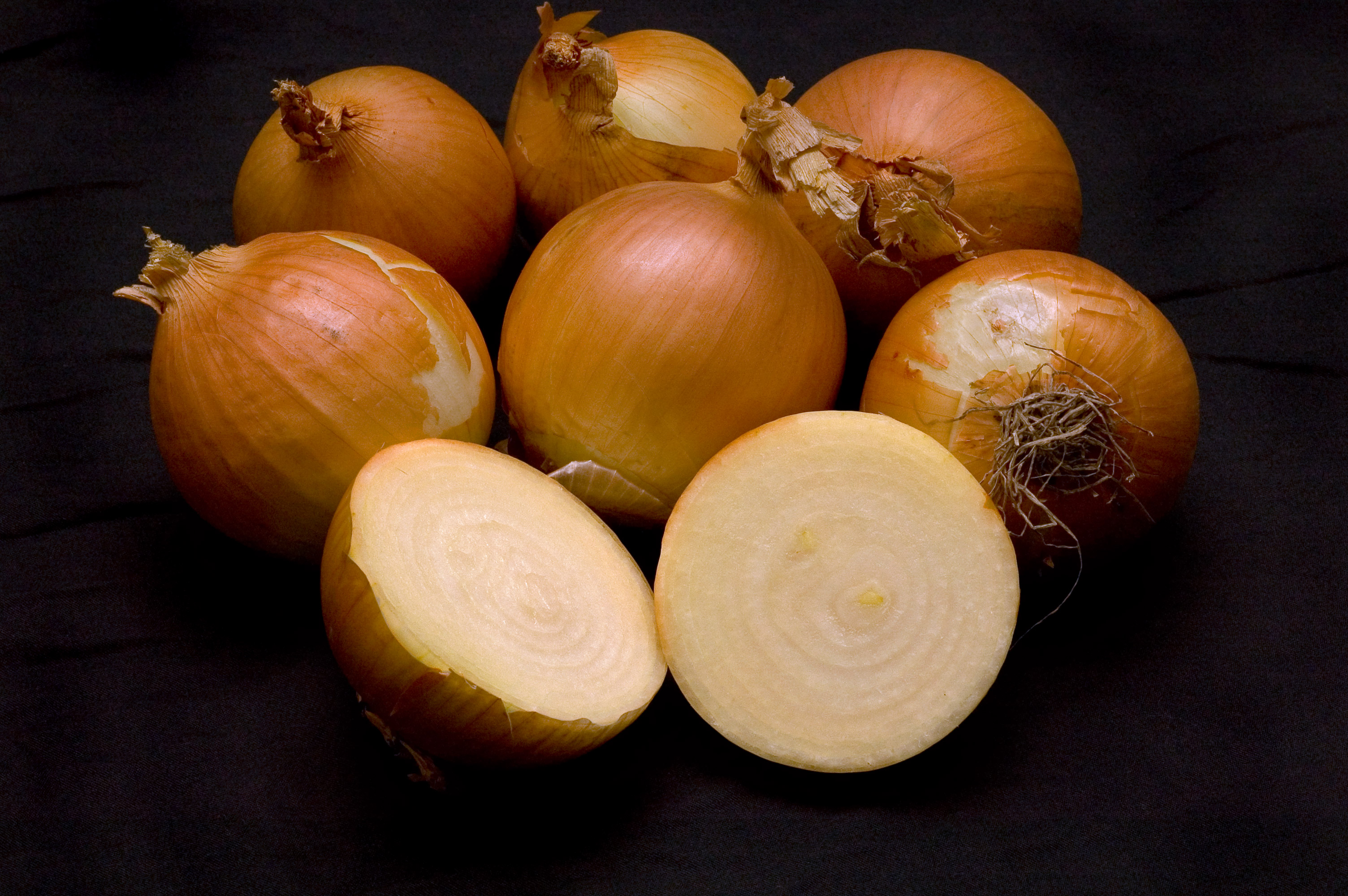 Yellowonion-edit1