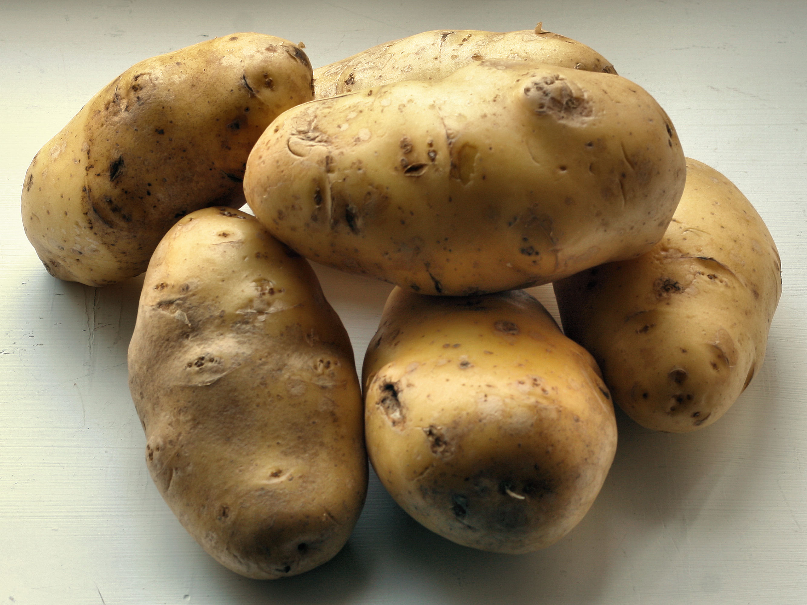 Yleisperuna 2008