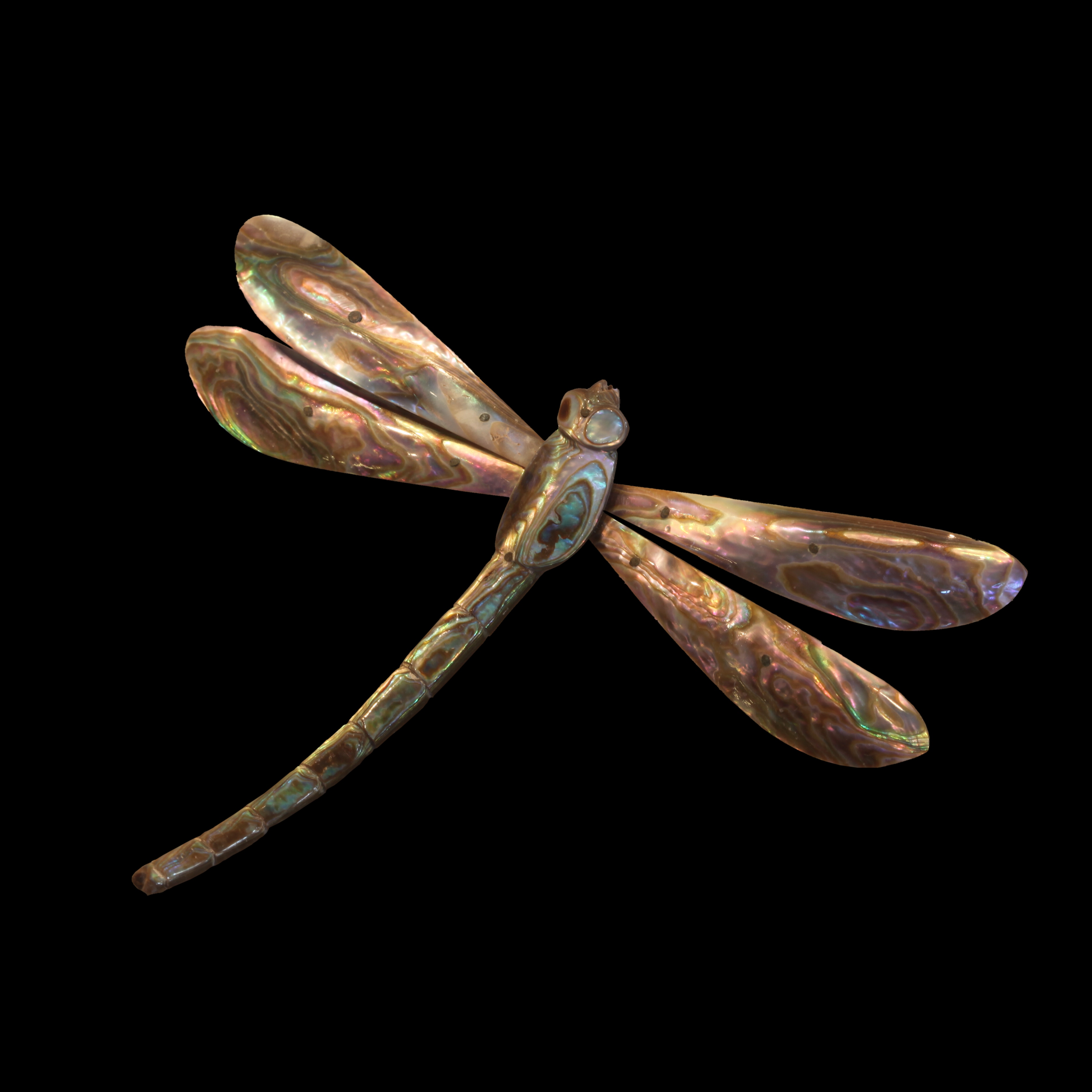 Dragonfly jewel-IMG 1843