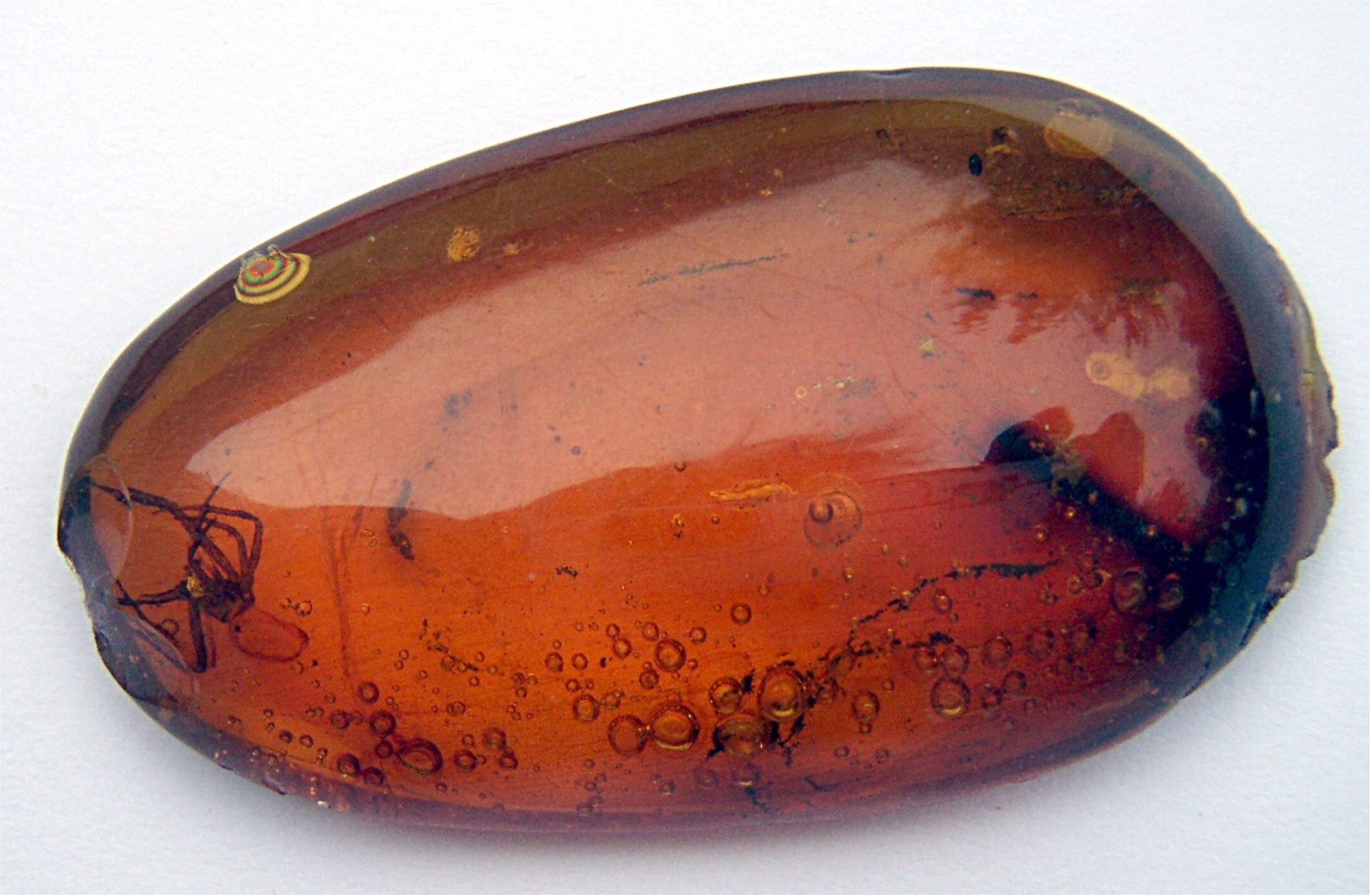 Spider in amber