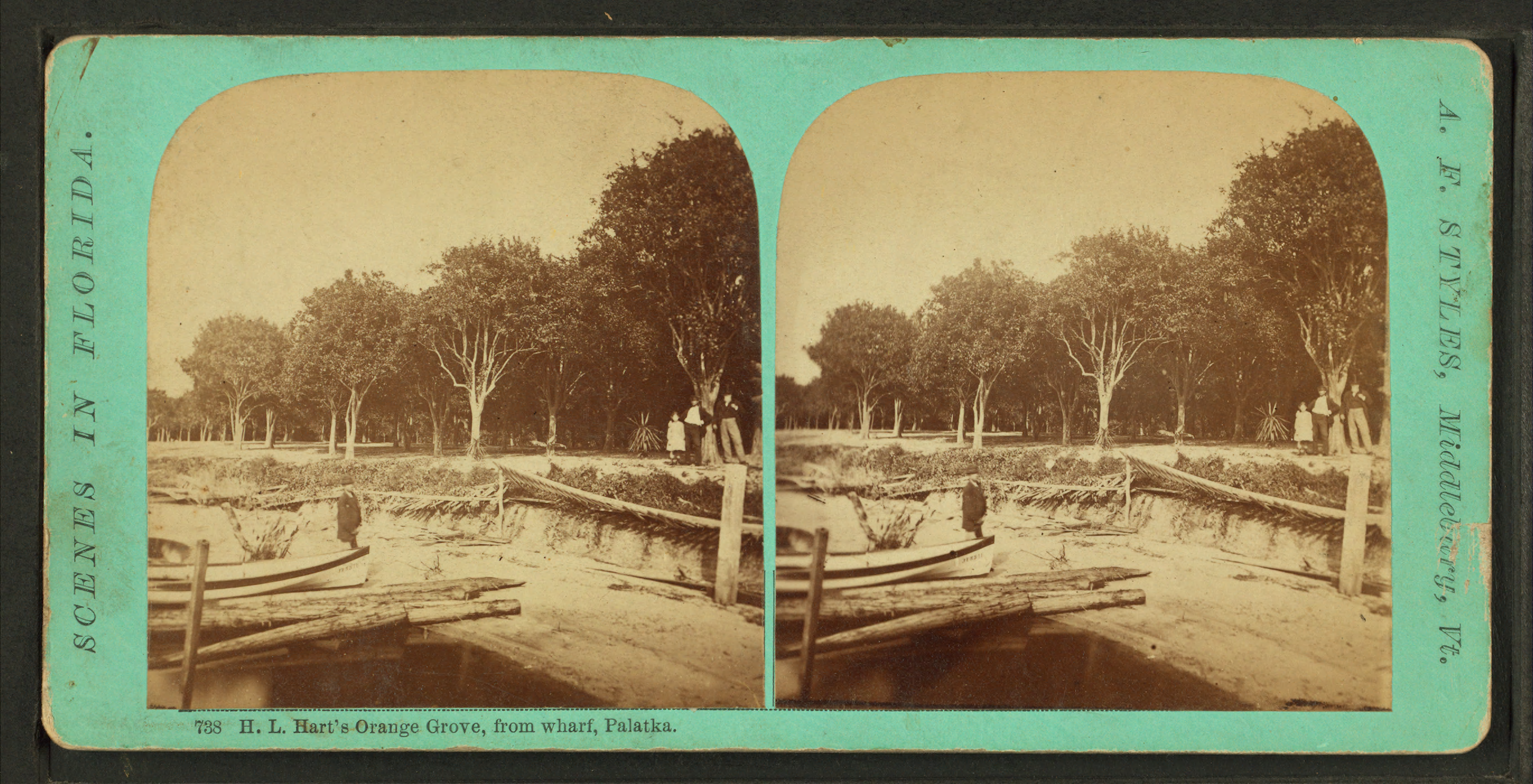 B.L. Hart's orange grove, from wharf, Palatka, from Robert N. Dennis collection of stereoscopic views