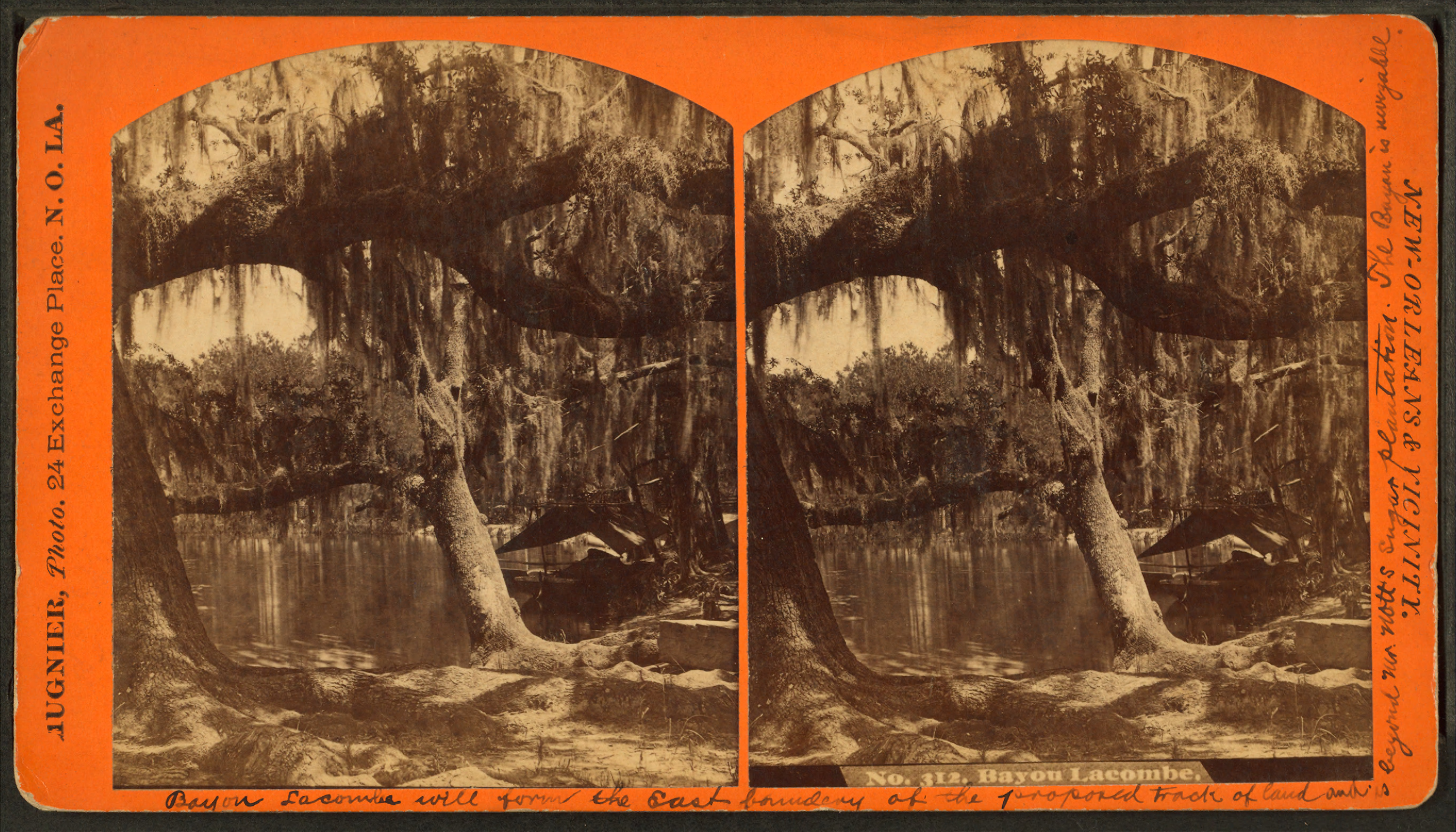 Bayou Lacombe, by George F. Mugnier