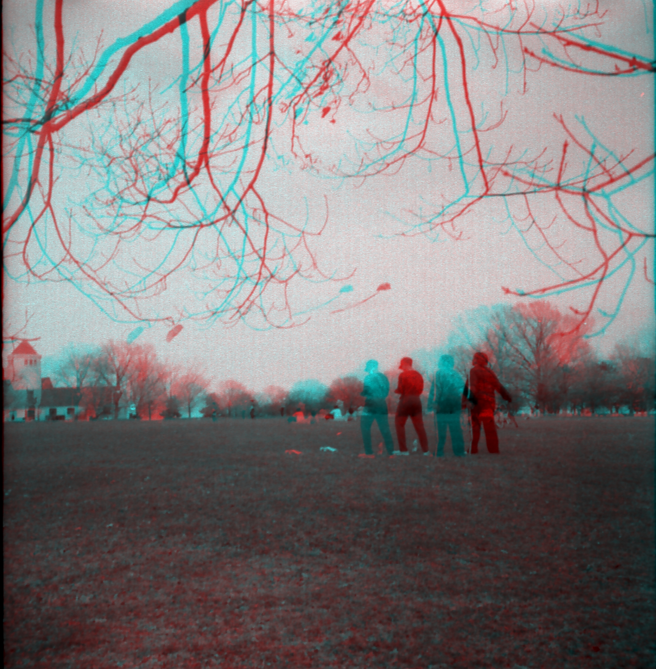 Flying Kites (519480307)