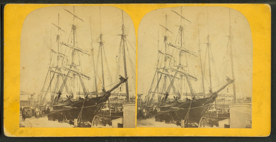 Barque Fredonia, from Robert N. Dennis collection of stereoscopic views