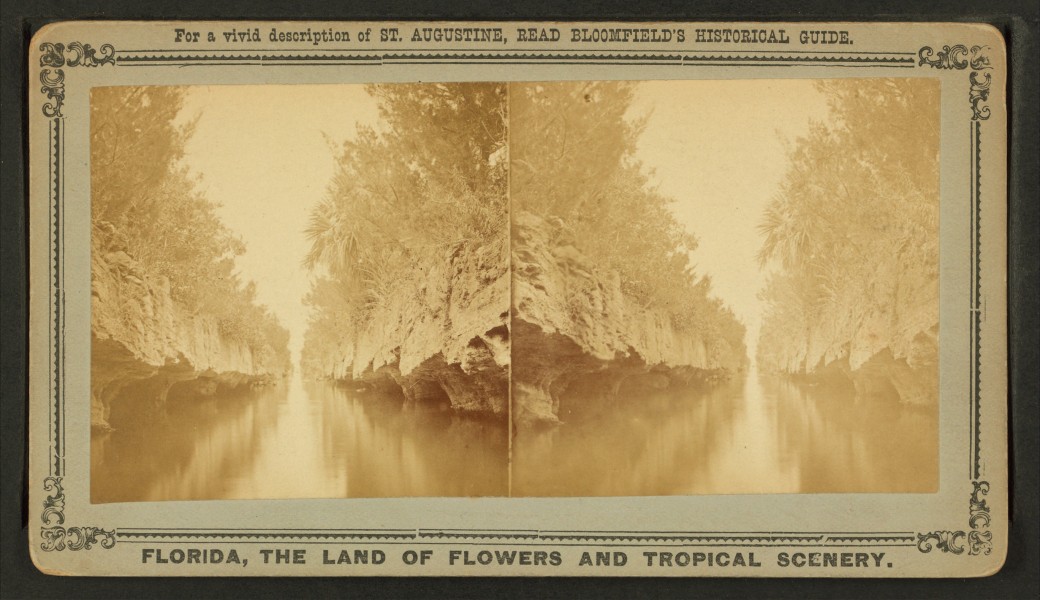 Canal in the southern Part of Florida, from Robert N. Dennis collection of stereoscopic views