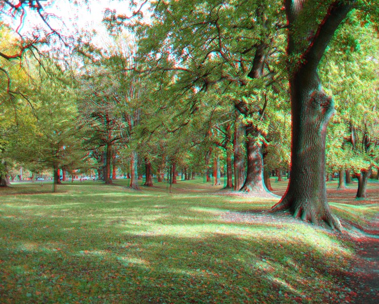 HagleyPark03 3D gobeirne