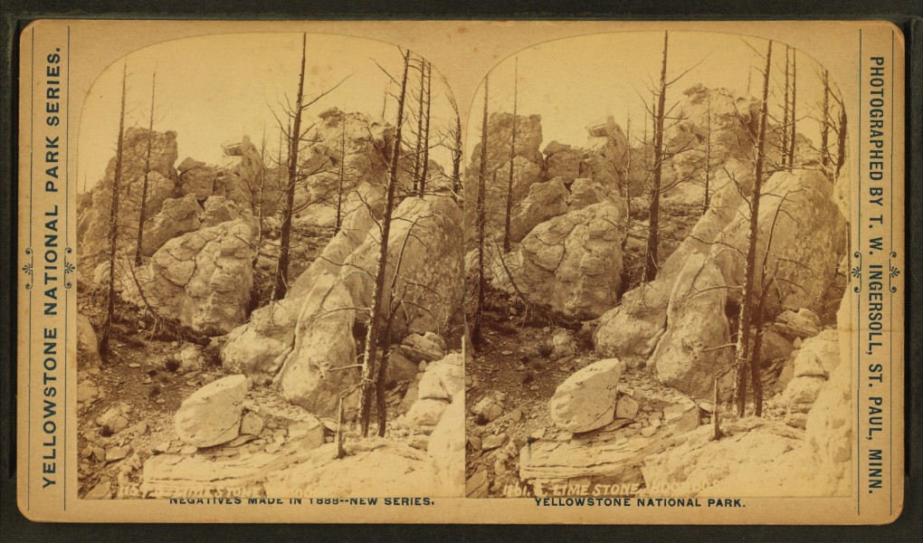 Limestone Hoodoos, by Ingersoll, T. W. (Truman Ward), 1862-1922