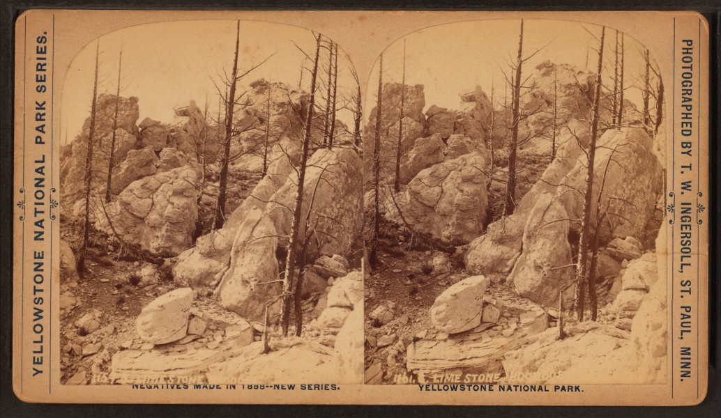 Limestone Hoodoos, by Ingersoll, T. W. (Truman Ward), 1862-1922 2