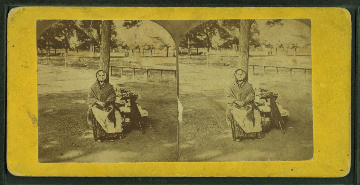 Old apple woman, Boston Common, from Robert N. Dennis collection of stereoscopic views