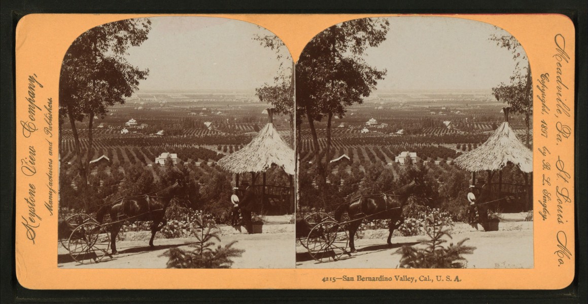 San Bernardio Valley, Cal., U.S.A, from Robert N. Dennis collection of stereoscopic views 2