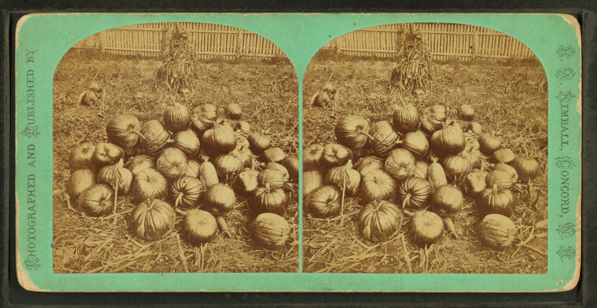 Some pumpkins, from Robert N. Dennis collection of stereoscopic views
