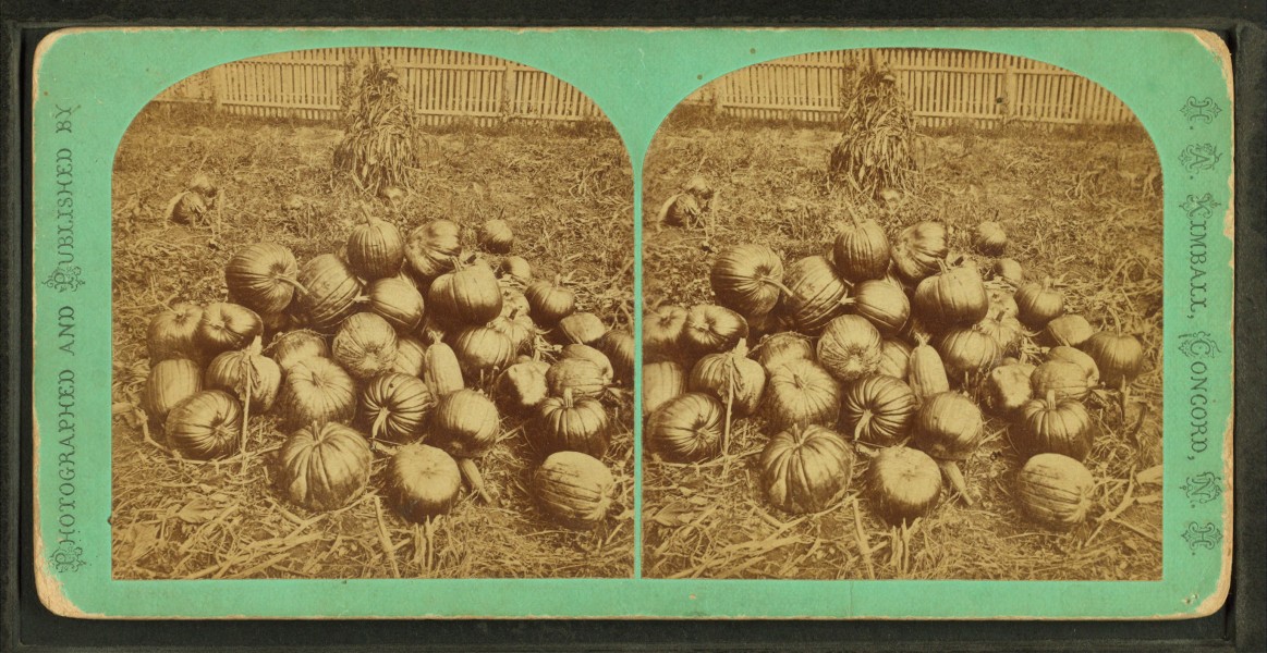 Some pumpkins, from Robert N. Dennis collection of stereoscopic views