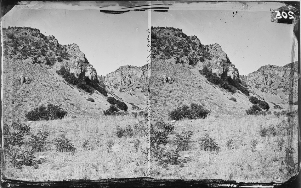 WILLOW CREEK CANYON, FOOTHILLS OF MOUNT NEBO, UTAH - NARA - 523970