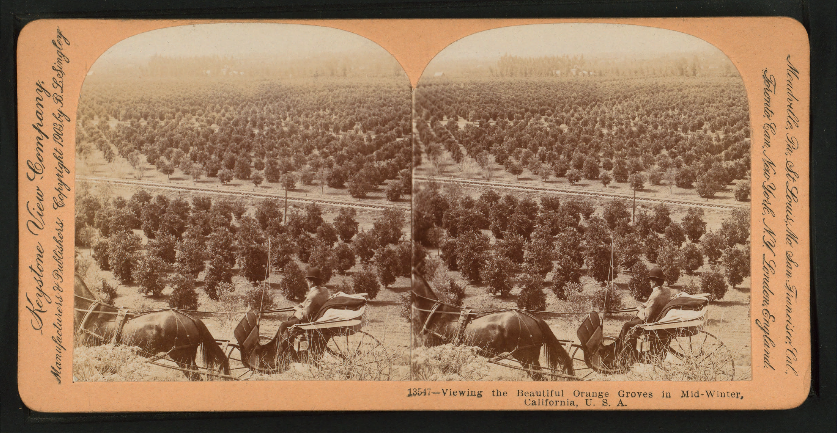 Viewing the beautiful orange groves in mid-winter in California, from Robert N. Dennis collection of stereoscopic views