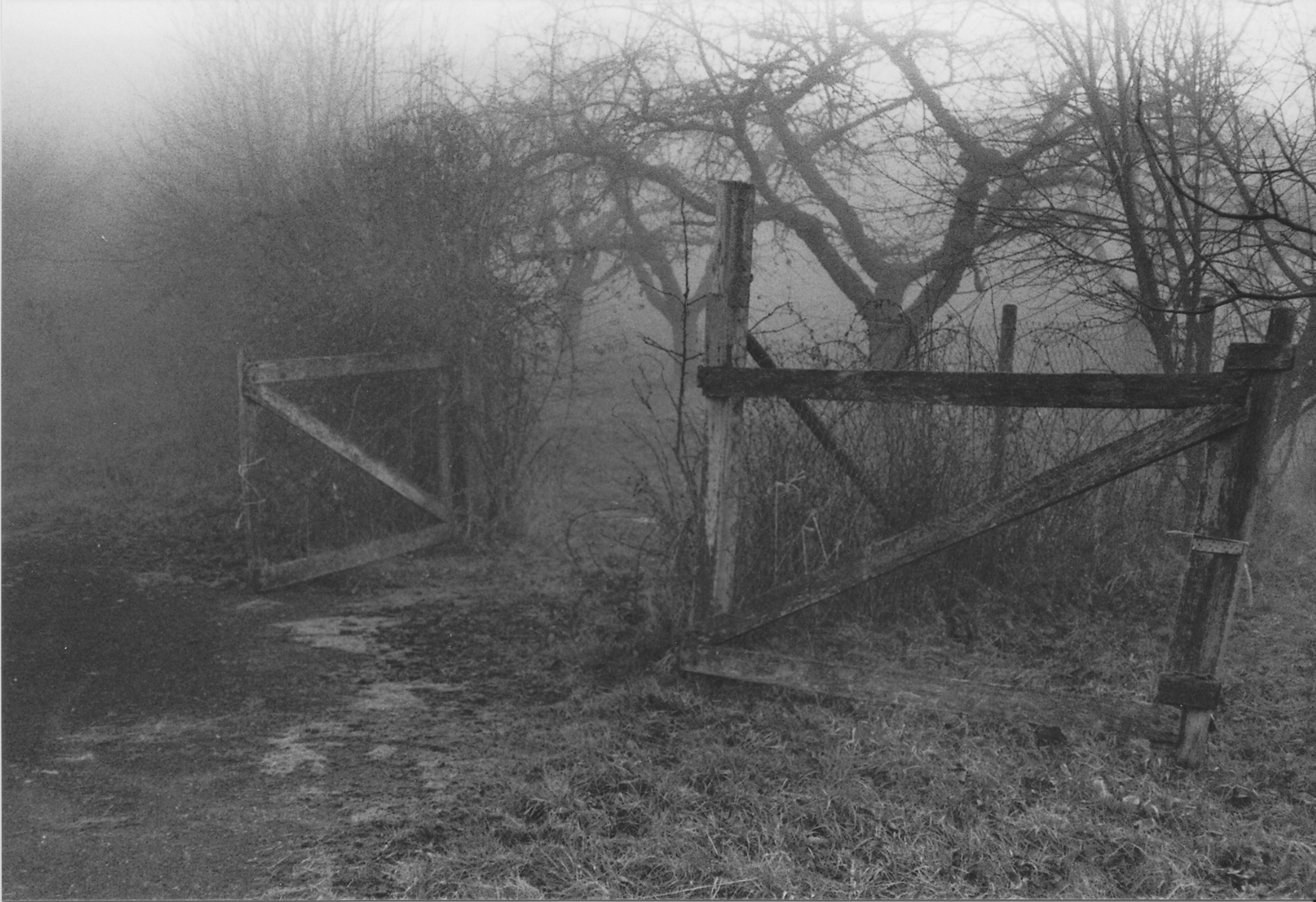 Altes Tor im Nebel