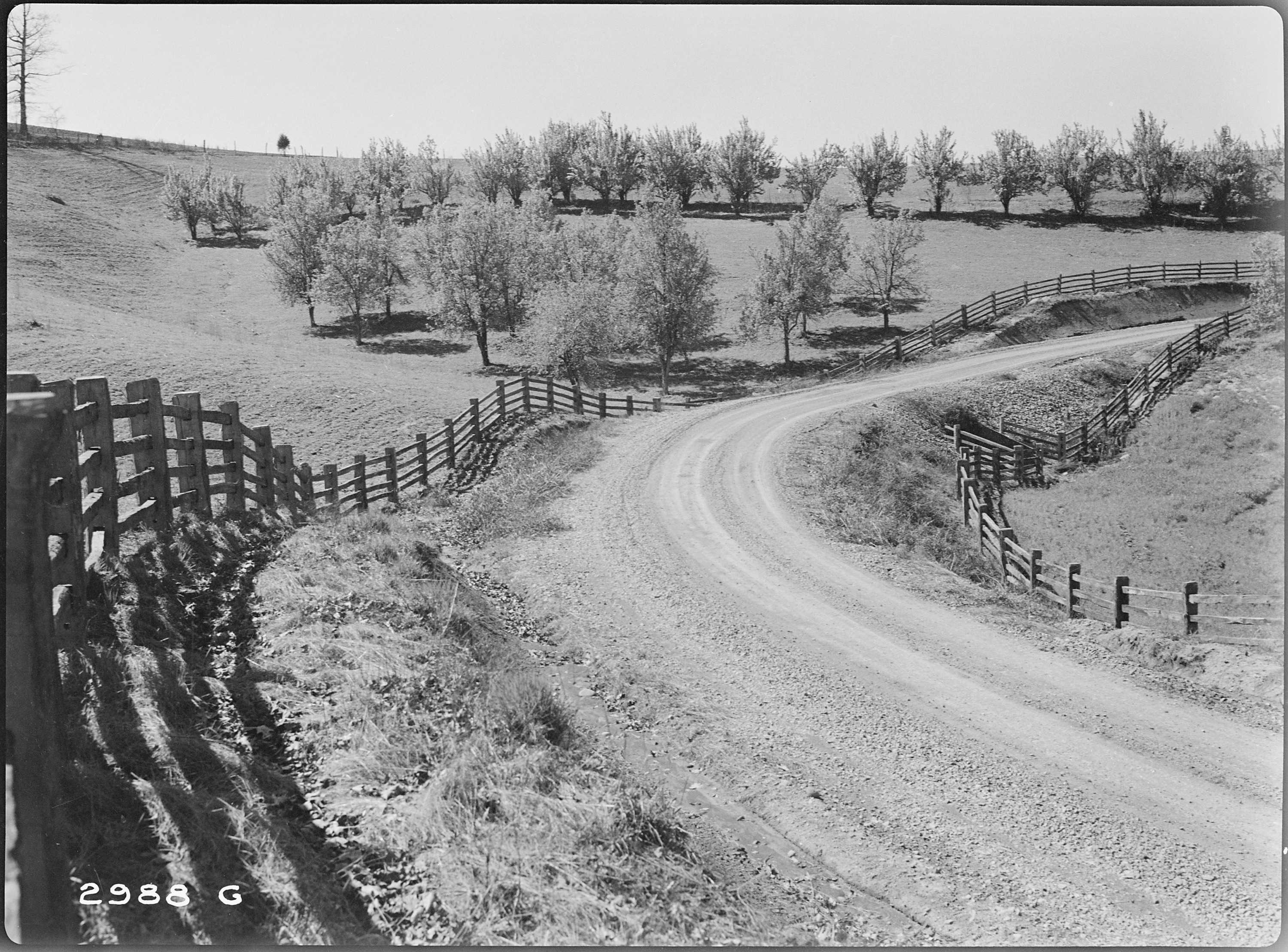 Approach road to Fort Loudon and rail fence built by WPA - NARA - 280296