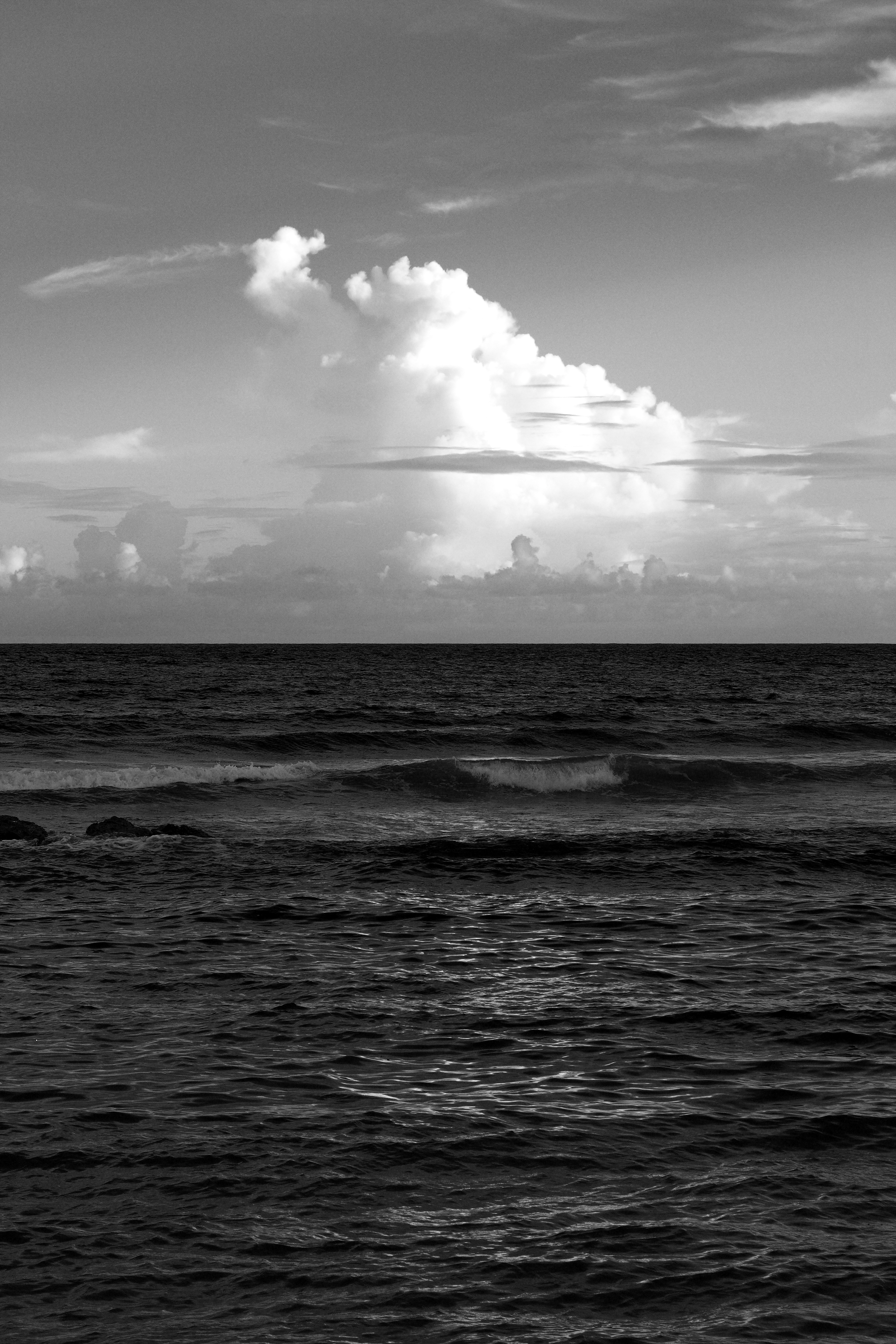 Caribbean Storm (4741047101)