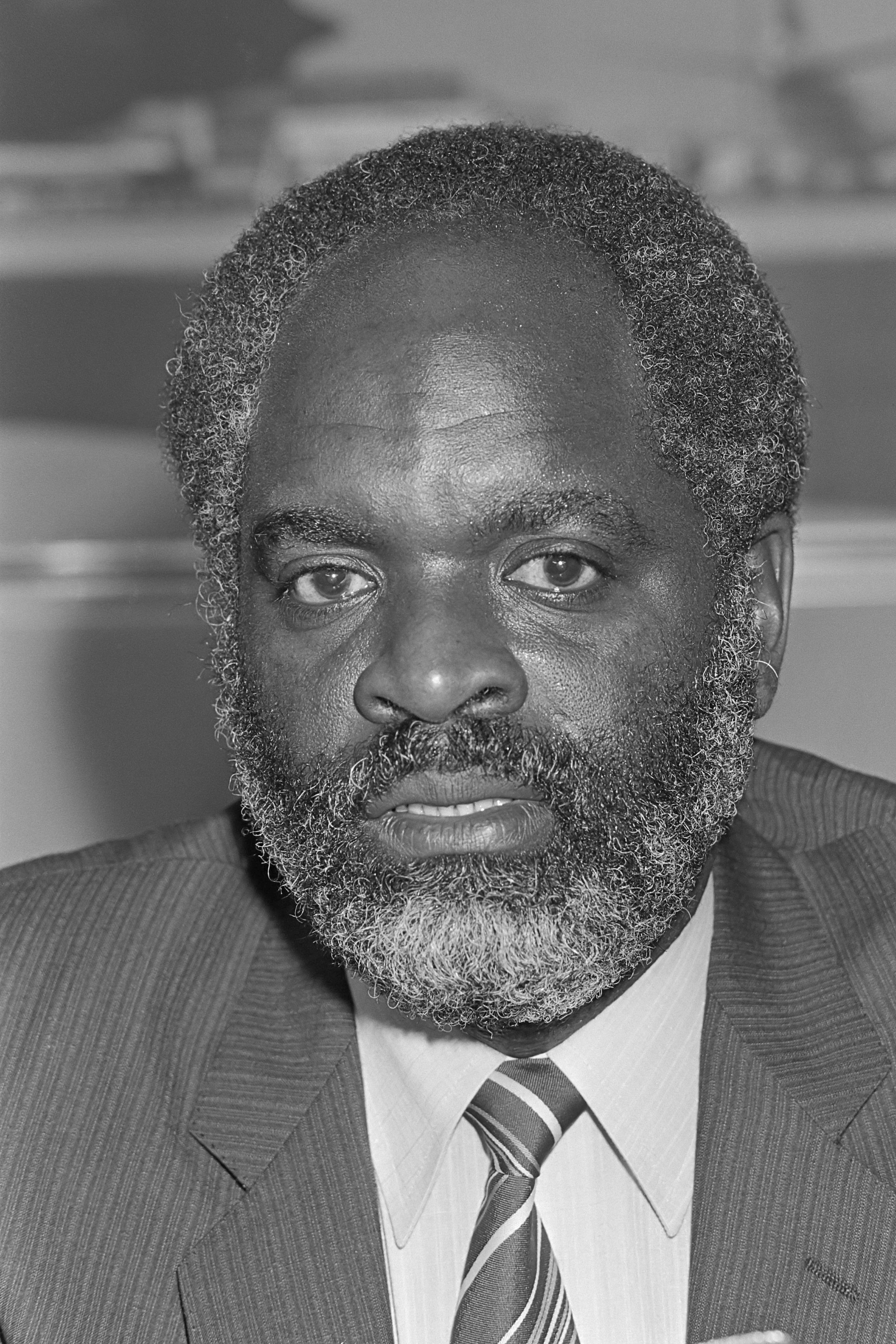 Don Martina (1981)