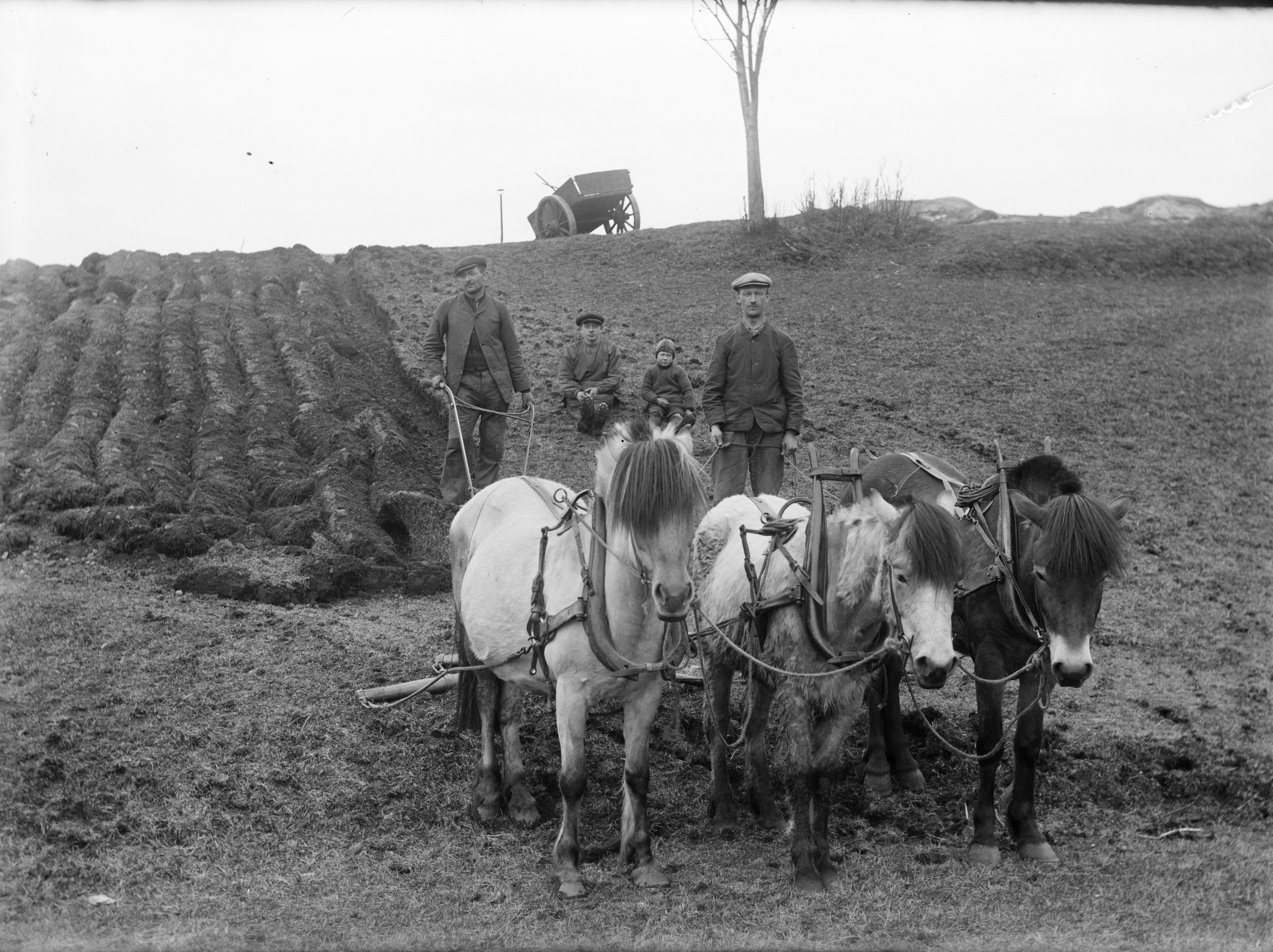 Farm work, Yndestad, 1916.