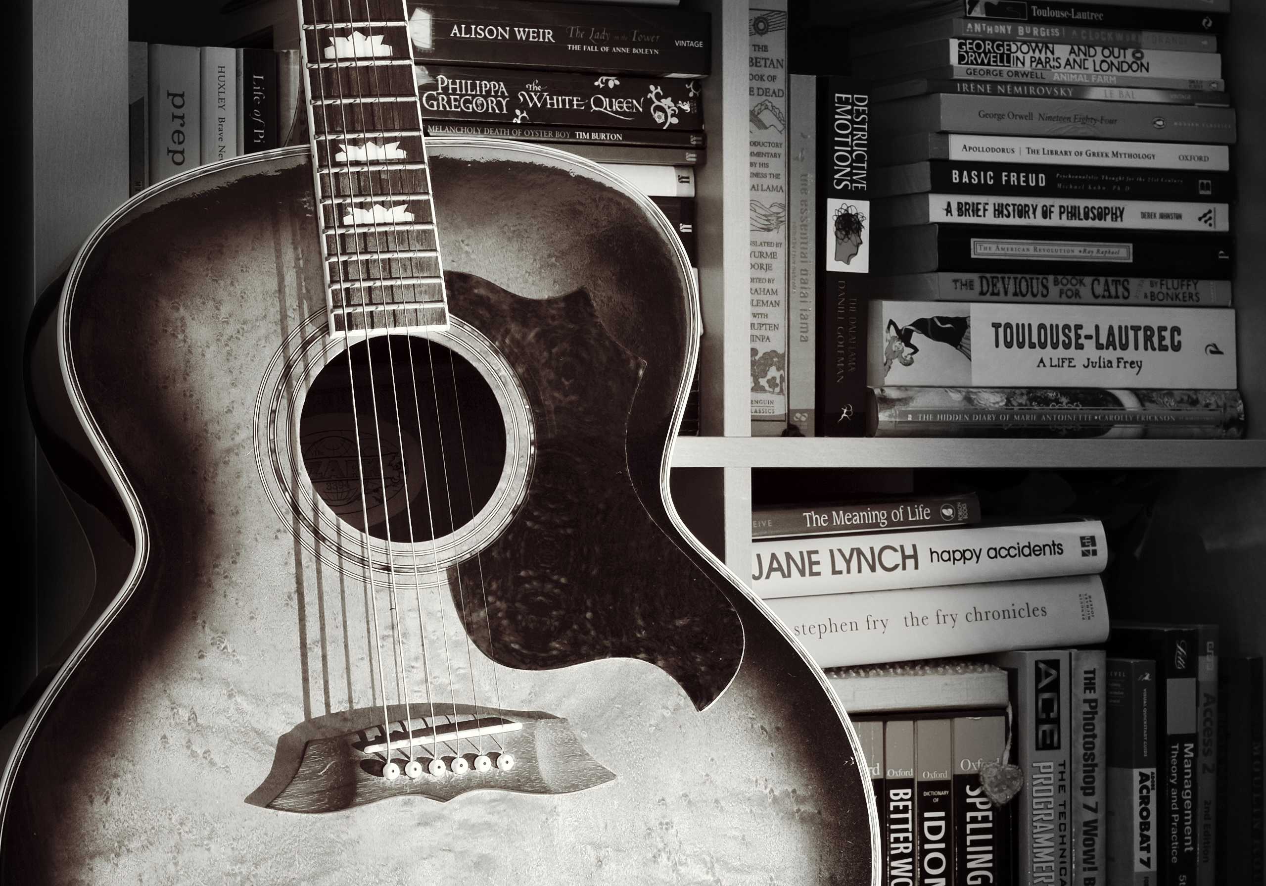 Guitar up against the bookcase