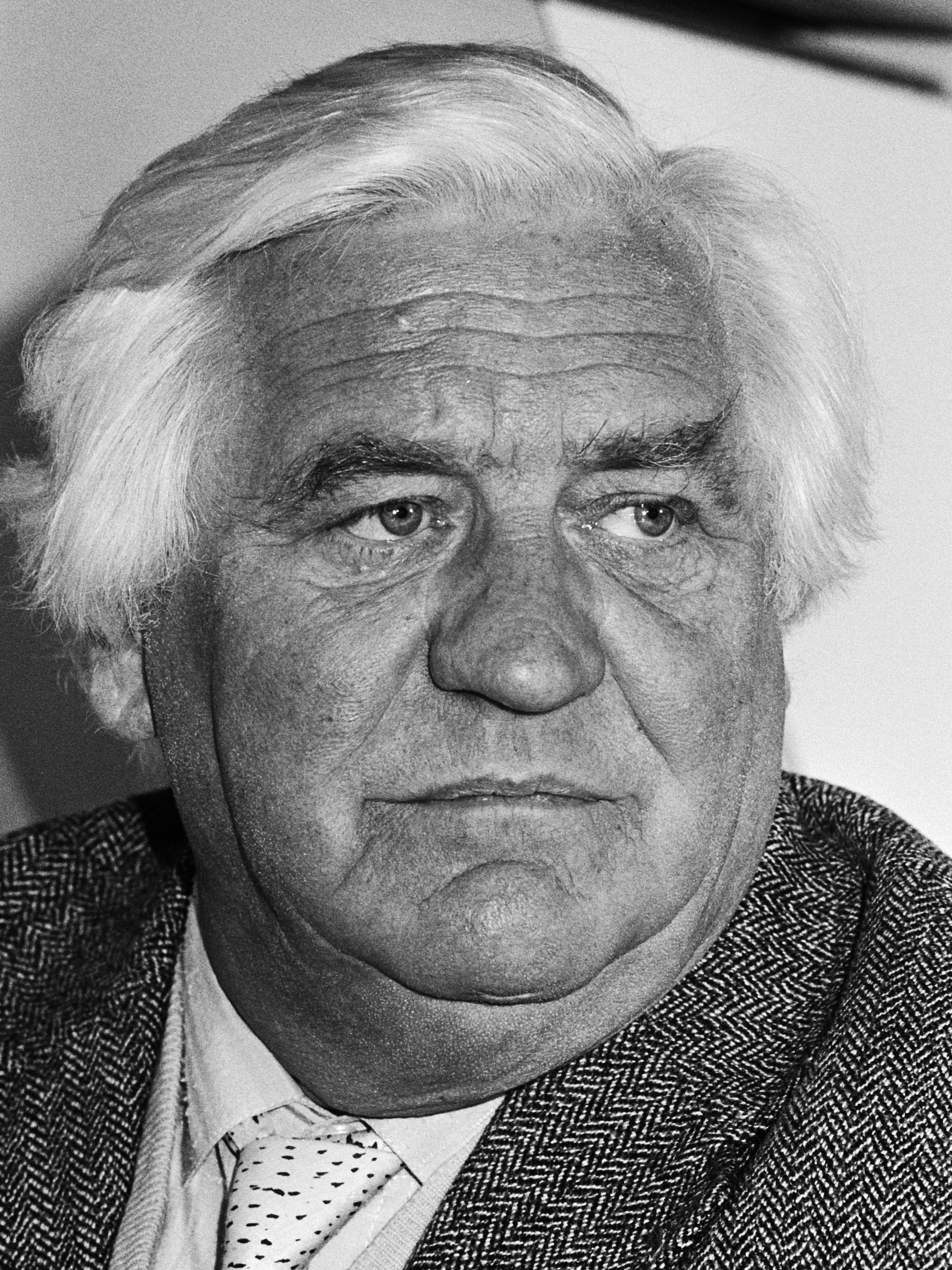 Guus Couwenberg (1982)