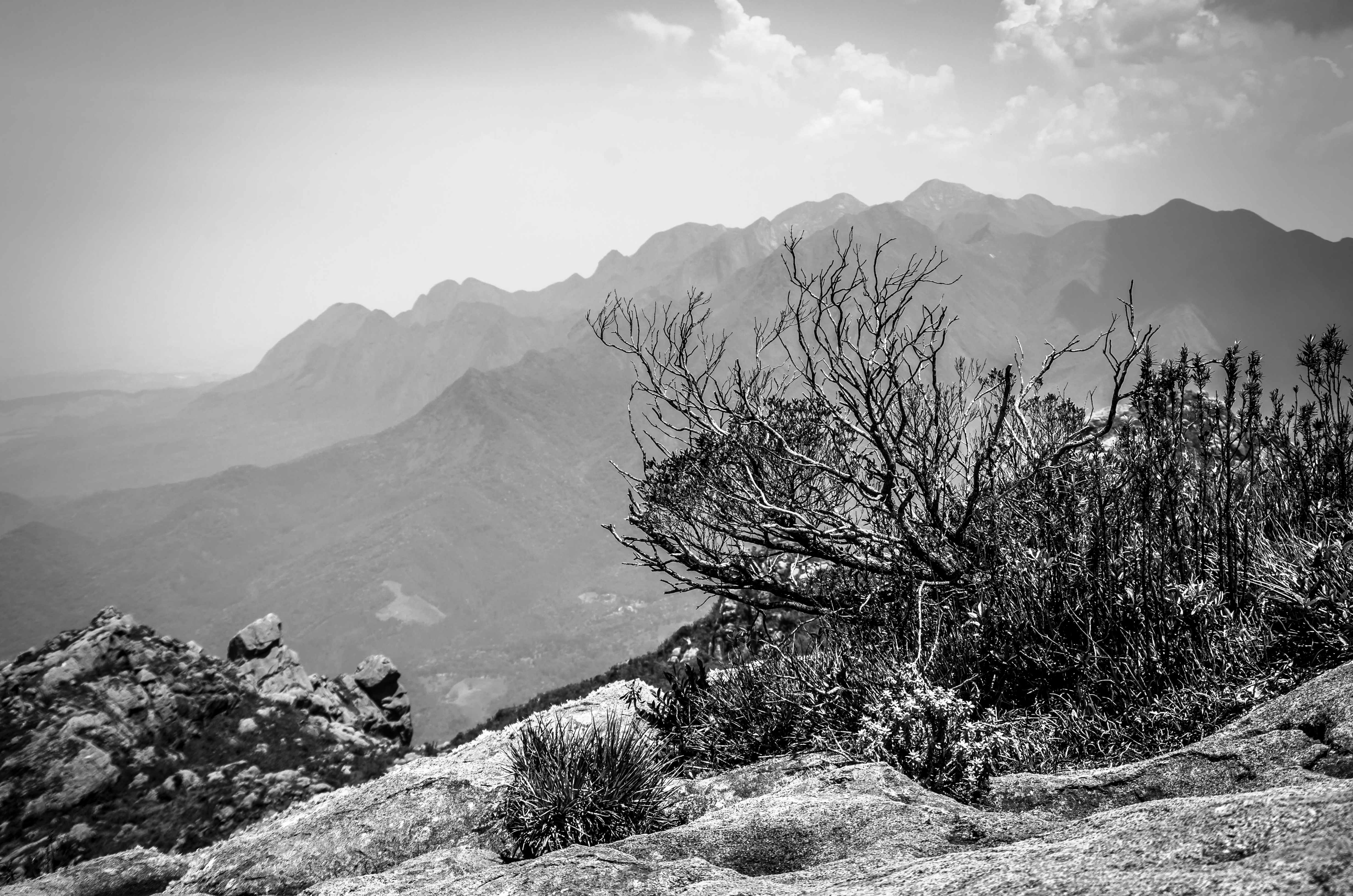 Itatiaia-240