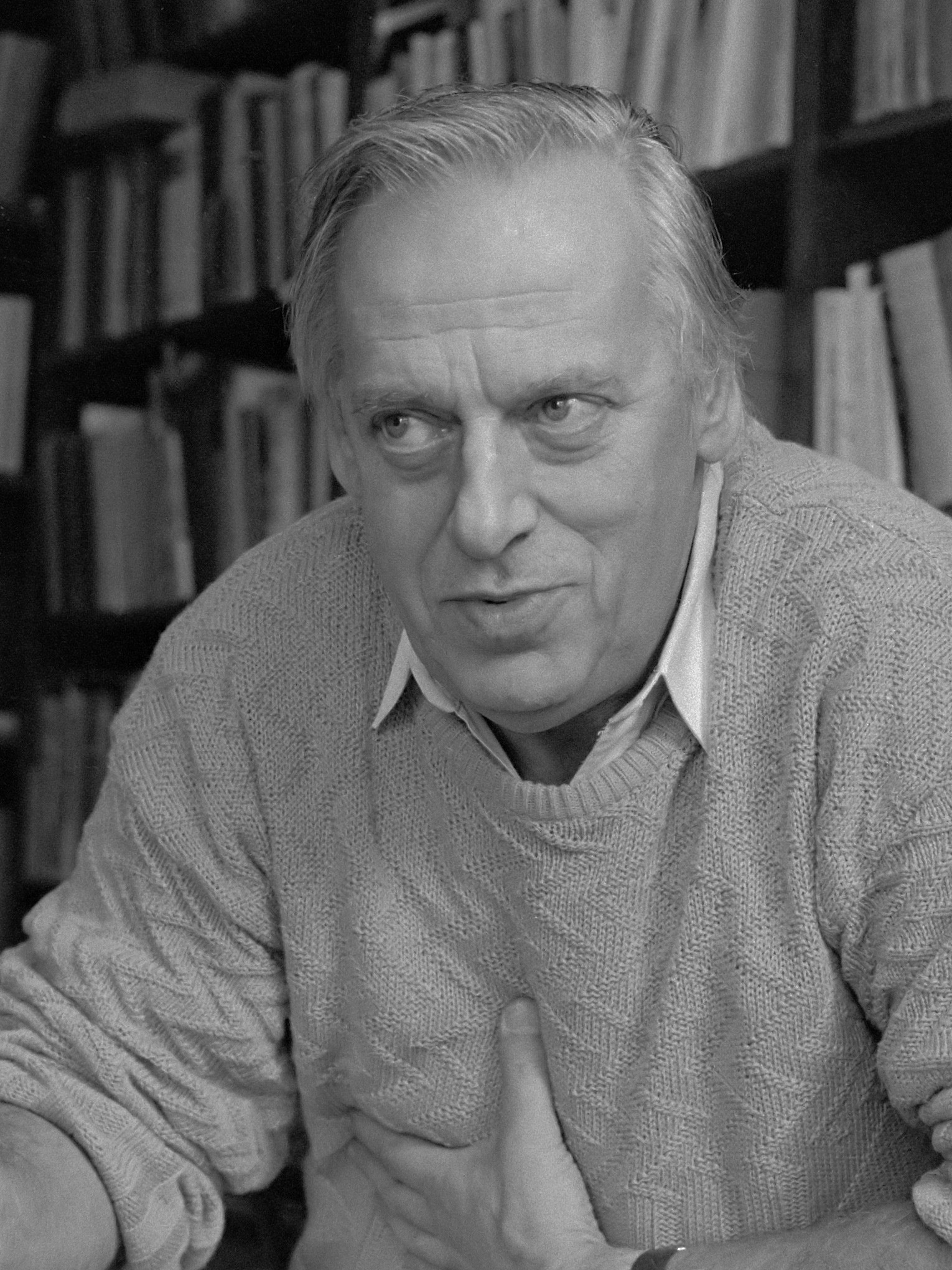 Jan Blokker (1985)