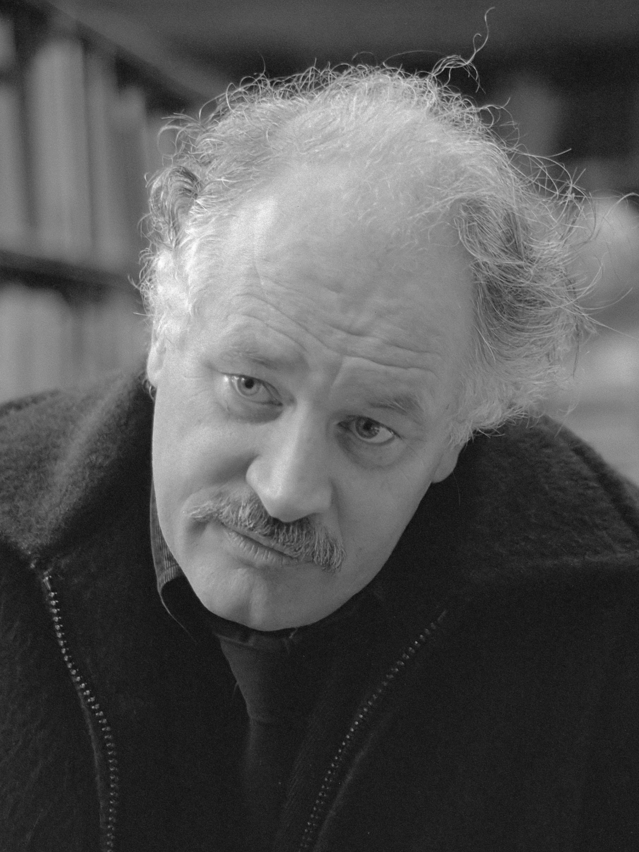 Jan van Riemsdijk (1981)