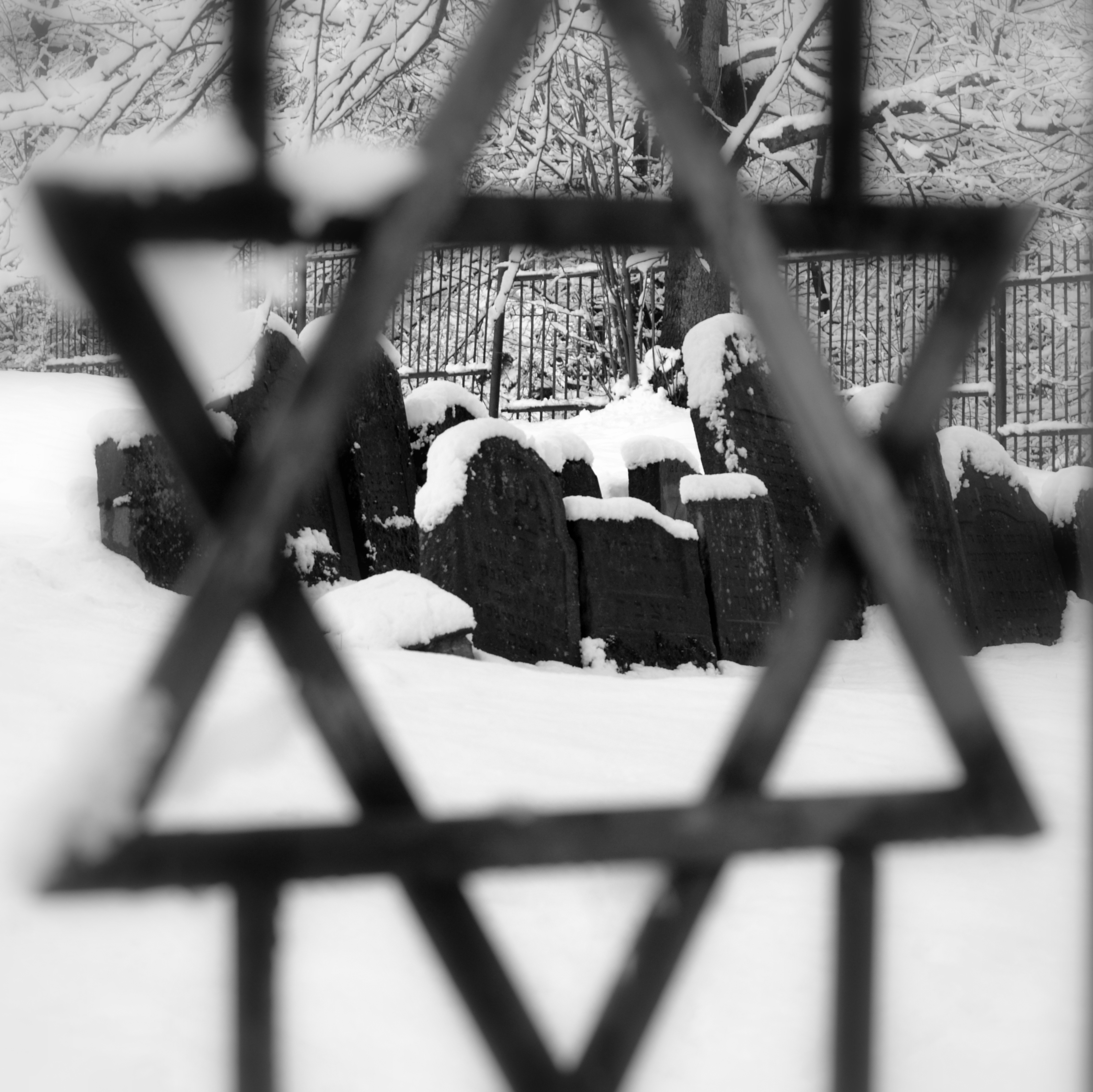 Jewish cemetery in Sanok 2015