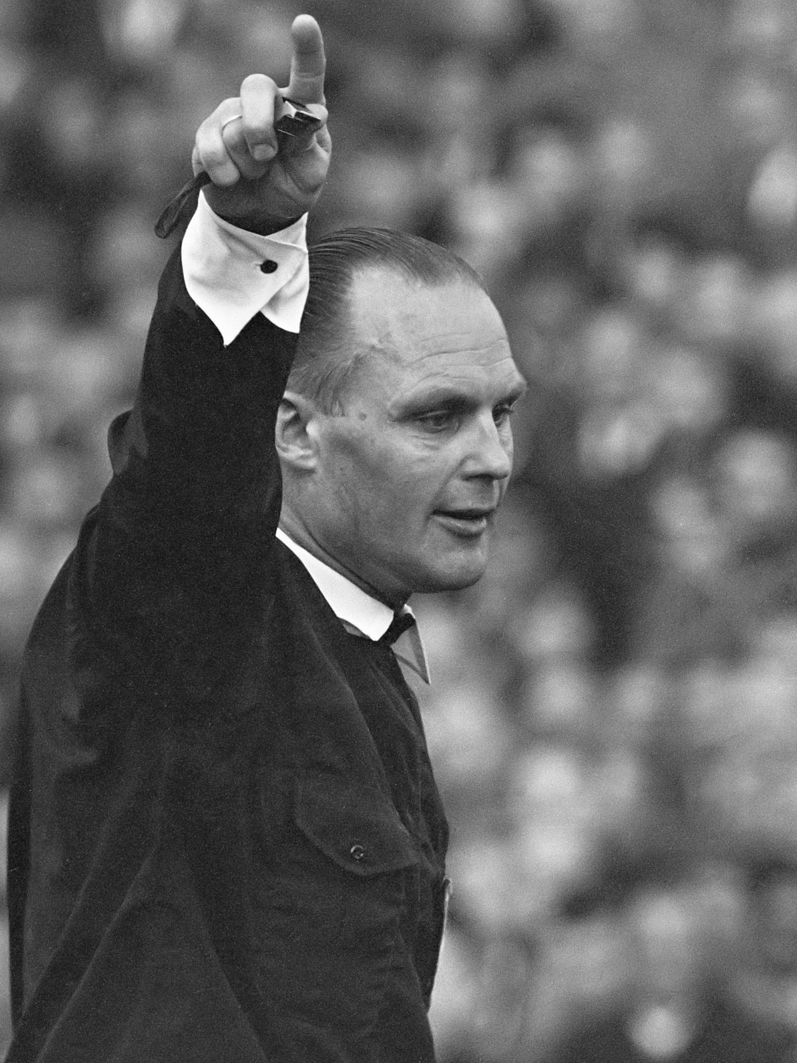 Lau van Ravens (1967)