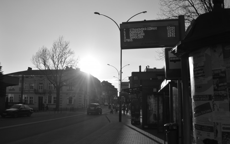 02016 0641 Sanok-Innenstadt, Kosciuszki, Bus-Stop