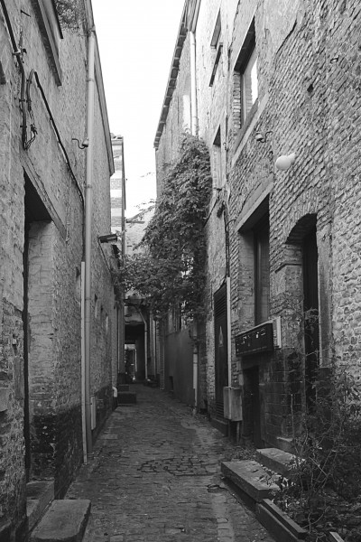 0 Mons - Ruelle aux Quinettes (3)
