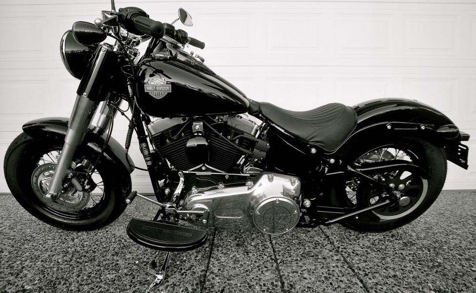 2013 Harley Davidson Softtail Slim (8344193123)