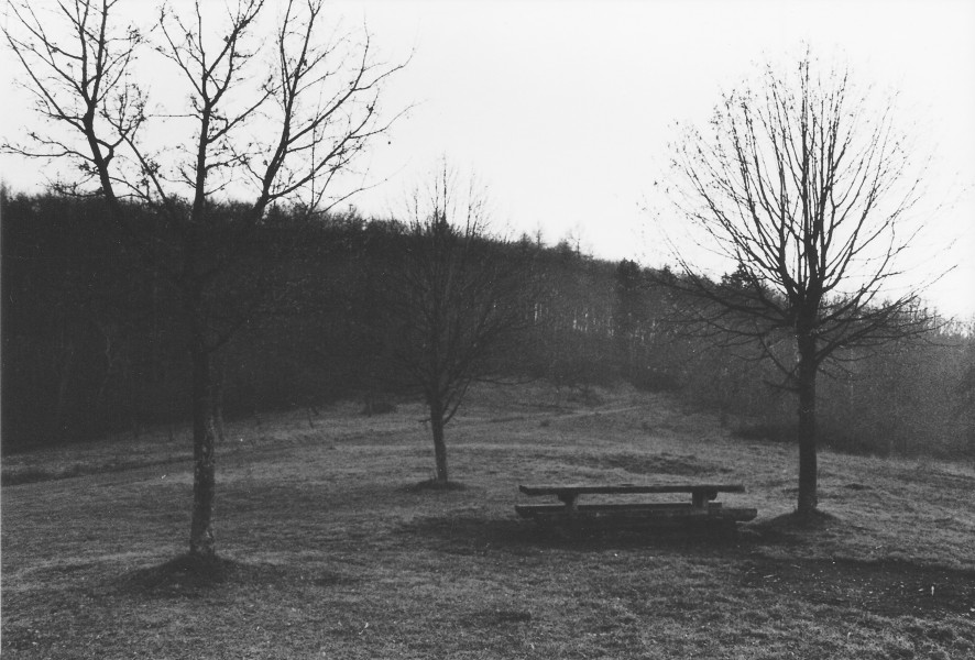 Alter Morgen bei Belsen