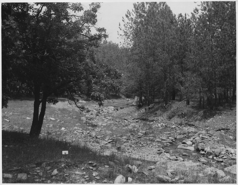 Bed of Battle Creek on Golden Rod Placer - NARA - 286102