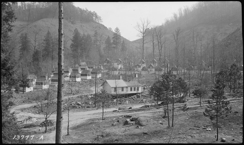 Bee Cove tent colony - NARA - 281470