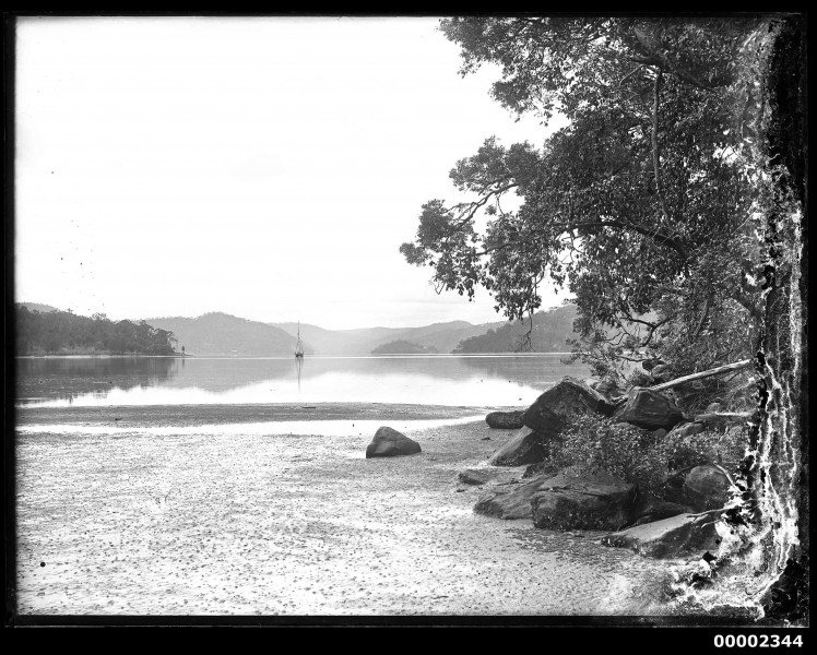 Boat on near Bar Island on the Hawkesbury River, NSW, 1880-1909 (7411627910)