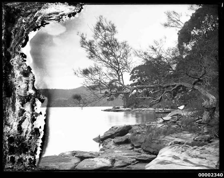 Boat on possibly the Hawkesbury River, NSW, 1880-1909 (7411629362)