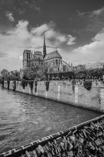 Cathédrale Notre-Dame de Paris 001