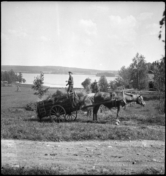 CH-NB - Finnland- Landschaft - Annemarie Schwarzenbach - SLA-Schwarzenbach-A-5-17-068