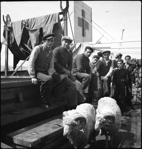 CH-NB - Portugal, Lissabon (Lisboa)- Schiff Silva Gouveia - Annemarie Schwarzenbach - SLA-Schwarzenbach-A-5-24-088