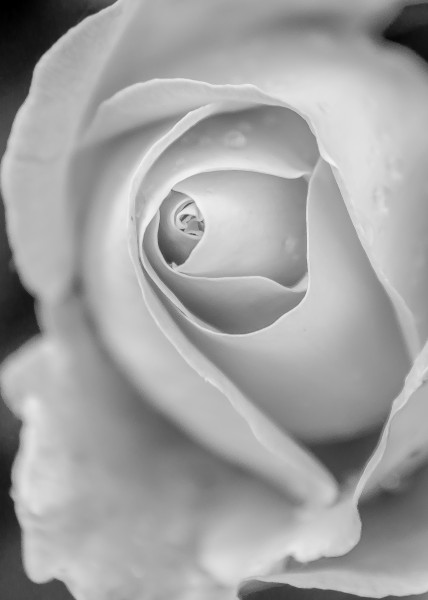 Closer (14207147847)