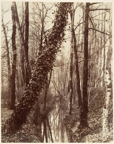 Eugène Atget, La Bièvre, Boulevard d'Italie 13ème disparue en 1891; aujourd'hui rue Edmond Gondinet, ca. 1898