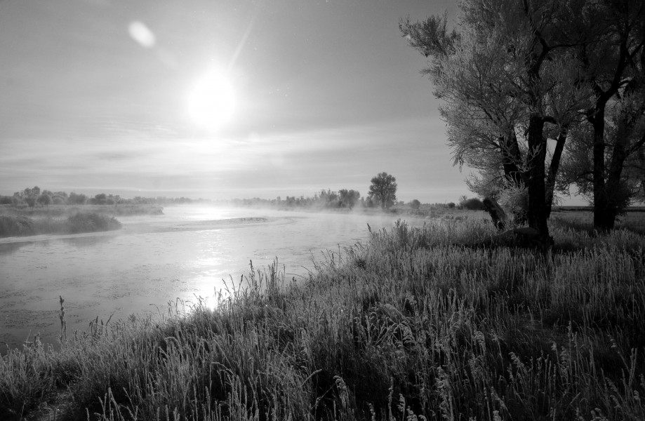 Frosty Morning on the Green River at Seedskadee NWR (23414778631)