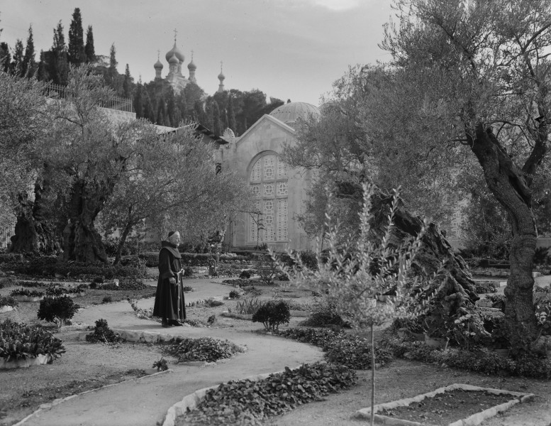 Gethsemane monk in garden