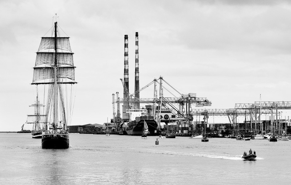 Gulden Leeuw 2014 Pelican of London past Ringsend bw