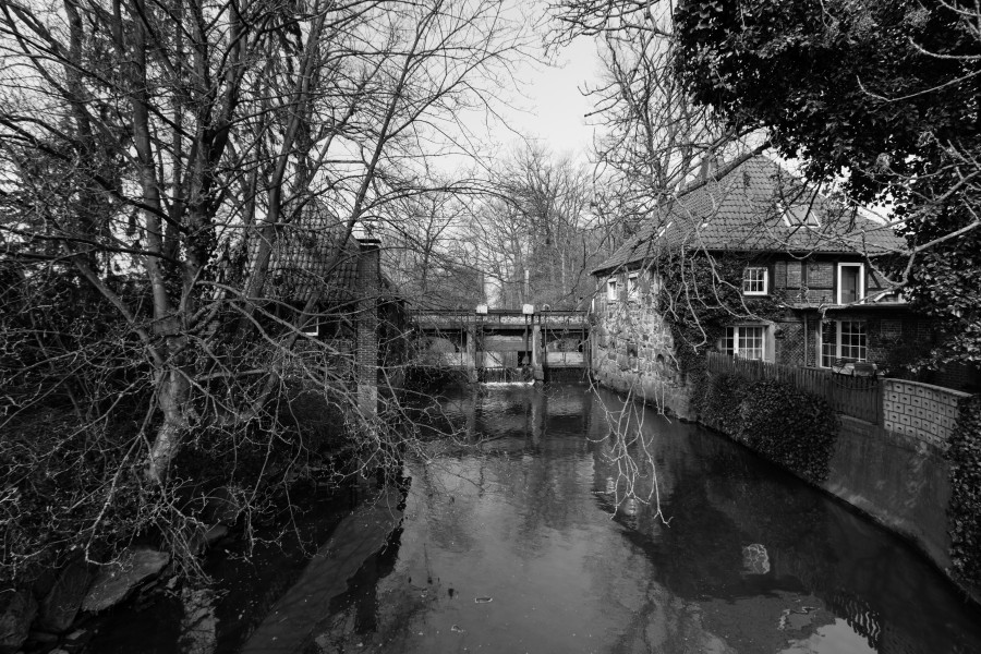 Hausdülmen, Große Teichsmühle -- 2012 -- 2931 (bw)
